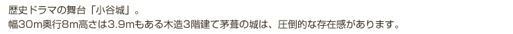 歴史ドラマの舞台「小谷城」。幅30m奥行8m高さは3.9mもある木造3階建て茅葺の城は、圧倒的な存在感があります。